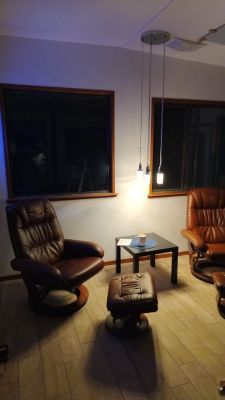 Carro Beer Bottle Pendant Light Teardown: OpenBK7231N OTA Flash, Pin Mapping