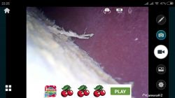 Endoskop USB ze sklepiku elektrody - prezentacja