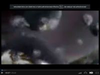 Magnified Image in Online Movies After Windows 10 Update: Codec Troubleshooting & Fixes Magnified Image in Online Movies After Windows 10 Update: Codec Troubleshooting & Fixes