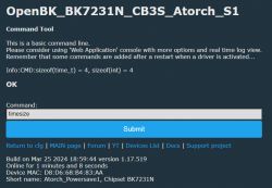 Screenshot of OpenBK tool with command timesize entered in the console.