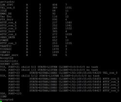 Terminal output showing a list of active FreeRTOS system processes and current network socket connections.