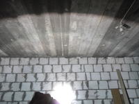 HID torch searchlight with halogen torch