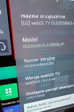 Ekran ustawień telewizora LG OLED55B42LA pokazujący model, numer seryjny i wersję systemu.