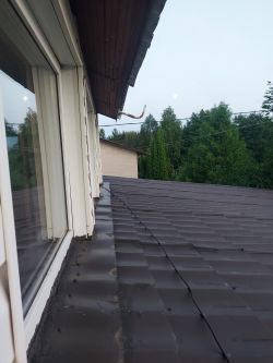 President Randy III - jakie anteny: bazowa i mobilna?