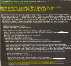 Screenshot of an attempt to flash a device using tuya-cloudcutter.