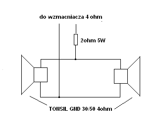 Jaki wzmacniacz do pieca gitarowego z głośnikami TONSIL GND 30/50?