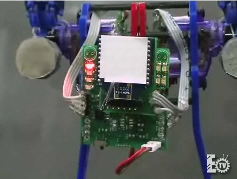 Robot wspinający się z mikrokontr. PIC - prezentacja