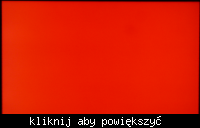 Samsung 245T - nieprawidłowe wyświetlanie kolorów Samsung 245T - nieprawidłowe wyświetlanie kolorów