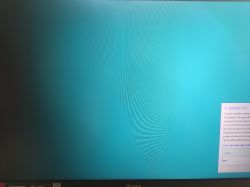 Pionowe niebieskie linie na monitorze iiyama G-Master G2470HSU przy wyświetlaniu różnych kolorów