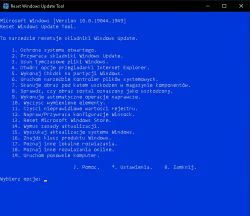 Brak windows update w usługach jaki w całym systemie