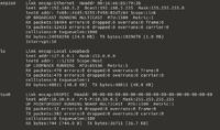 Konfiguracja OpenVPN w trybie bridge za kilkoma routerami - stałe zewnętrzne IP