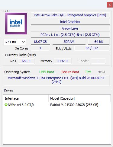 Zrzut ekranu z informacjami o GPU Intel Graphics i dysku NVMe Patriot M.2 P300 256 GB