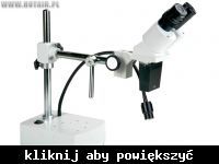 Kupno mikroskopu dylemat, cyfrowy czy stereoskopowy