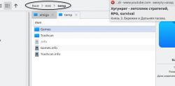 Screenshot eines Dateimanagers mit dem Pfad Root > mnt > temp und Amiga-bezogenen Ordnern.
