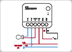 SONOFF MINIR4M Matter and SR-8001A - is the L from the output connected to S2?