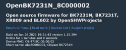 I flashed my switch that has a BK7231N chip on it,. Now what?