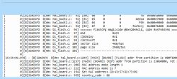 Screenshot of debugging messages related to flash memory configuration.