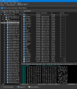 Zrzut ekranu programu DMDE z wynikami skanowania woluminu o nazwie SVolume 02 z systemem plików FAT8.