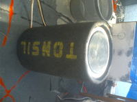 sww 202 s Tonsil 20/100