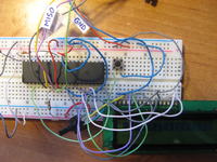 [Atmega 8/16] [C]Nie moge uruchomic układu (pole siłowe?)