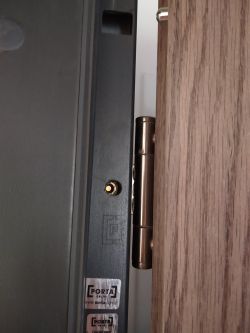 Need Help: Adjusting PORTA Apartment Front Door Hinge After Falling - Photos Attached