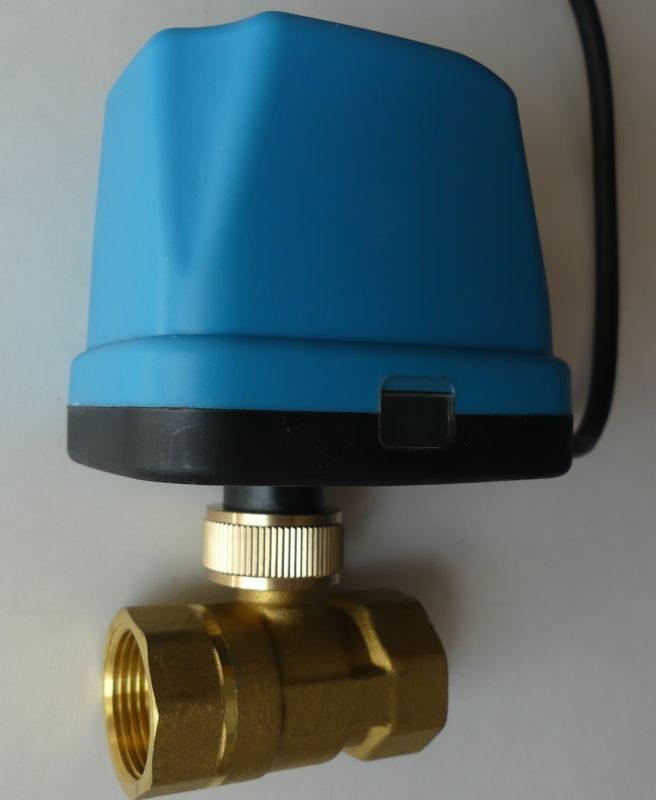 Blue actuator on a brass valve with threaded ends, on a light background