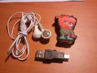 Czy kabel USB z linku pasuje do mojego odtwarzacza MP3 Orange?