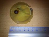 Jak dobrać przetwornik do myjki ultradźwiękowej? Parametry i porady