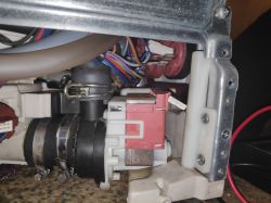 Electrolux ESL64010 - Zmywarka nie wypuszcza wody błąd i20, pompa sprawna.