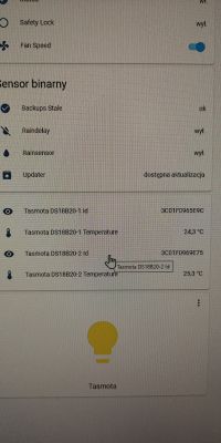 Integrating Immergas Vitrix Superior 26kW ERP2 with Home Assistant for Metering