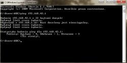 No internet access despite being connected to the network ...