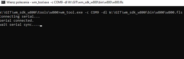 File Loading Process in Command Prompt Using wm_tool.exe Command prompt showing the process of loading a file using wm_tool.exe.