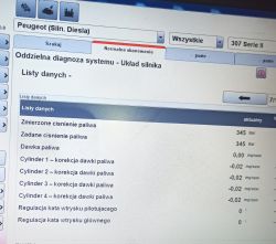 Ekran diagnostyczny systemu silnika diesla w samochodzie Peugeot