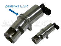 Laguna II 1.9Dci 120HP: Blinding EGR Valve - Electronic Control, Round Pipe, & Allegro Kit