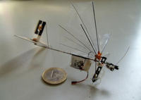 Delfly Micro z kamerą