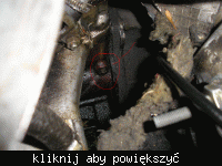 Polonez Caro 1,6 GLE -Wymiana płynu chłodniczego