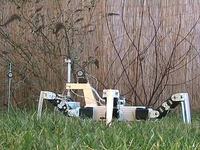 Kosiarka do trawy - robot