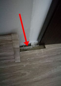 Best Method to Fill Gap Next to Door Frame: Expert Advice Needed