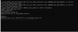 Screenshot of a console showing errors during download and successful flash dumping.