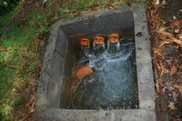 Pomysł na elektrownie wodną, dla doświadczonych elektryk