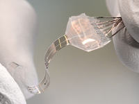 Elastyczne elektrody do implantów mózgowych Elastyczne elektrody do implantów mózgowych