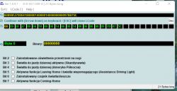 Zrzut ekranu oprogramowania do kodowania sterownika w samochodzie, z pokazanym kodowaniem i opcjami funkcji oświetleniowych.