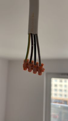 How do I connect an L N PE lamp to a Fibaro Smart Home system using brown, black and grey PE wires?