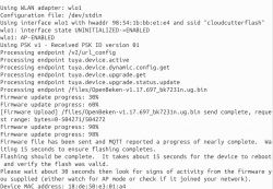 Device firmware update process using WLAN interface and tuya endpoint.