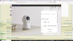 Screenshot showing a forum page discussing issues with a security camera.