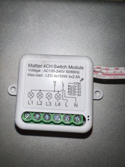 Fiddling with my first Matter device - 10A 1CH switch [CB3S / BL2028N (BK7231N)]
