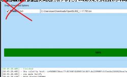 Screenshot of a download tool with the Single Download Options checkbox marked, crossed out in red.