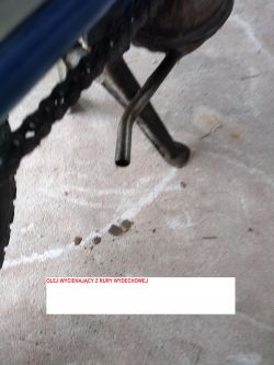 Garelli Gulp Flex 50cc - Zaworek iglicowy czy może coś innego?