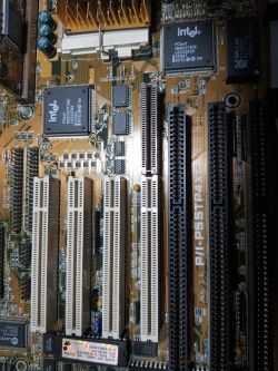 Co to za rozszerzenie z płyty głównej ASUS P/I-P55TP4XE?