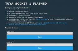 TUYA_SOCKET_1_FLASHED Settings Interface Screenshot of TUYA_SOCKET_1_FLASHED interface with startup settings options.